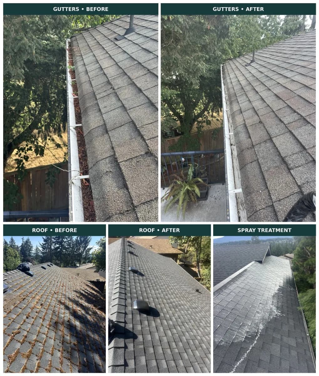 Exterior Cleaning & Repair Services
